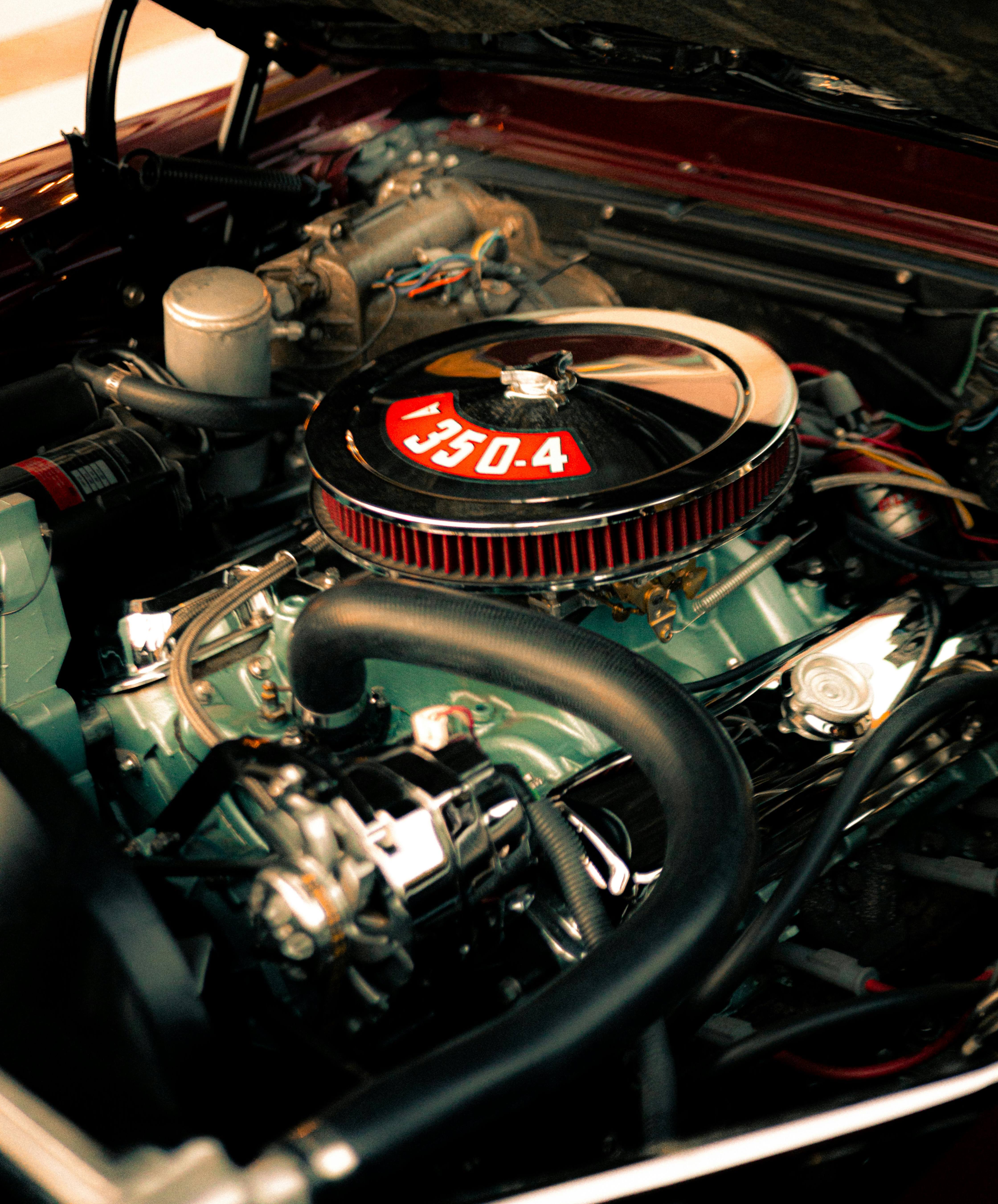 pexels-cao-vi-ton-449370203-15496927